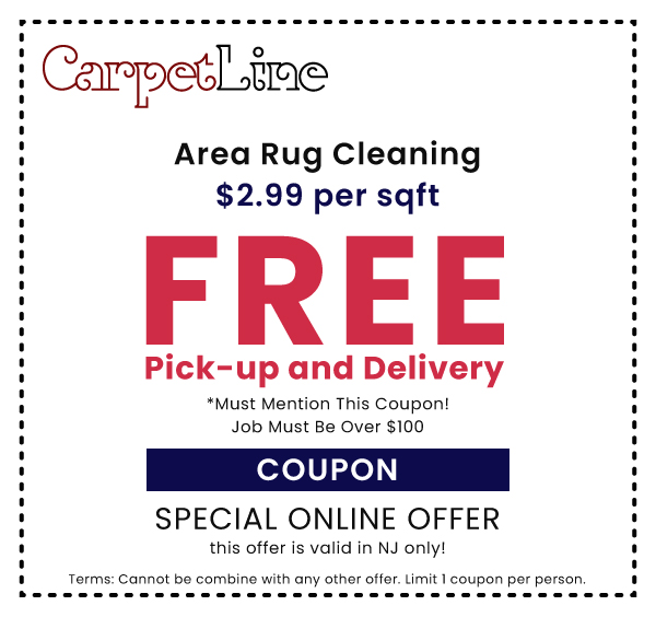 Area Rug Cleaning Coupon $2.99 Per sqft free pick-up and delivery